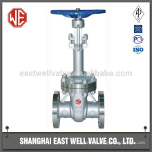 wcb flat flange valve